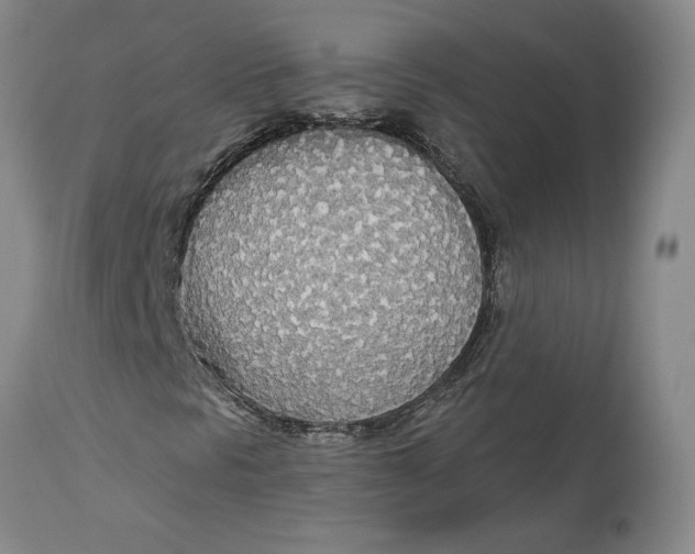 X0000114551297200911091146
