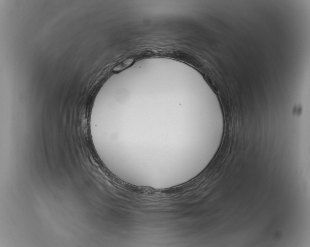 X0000114551298200911091146