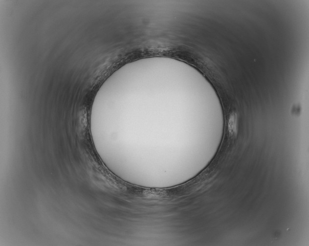 X0000114551299200911091146