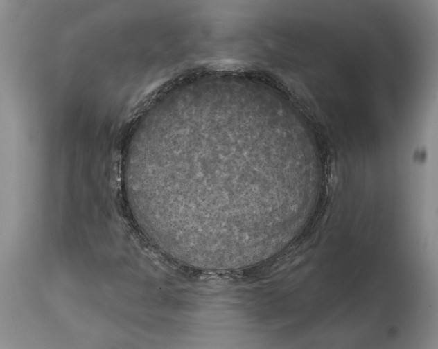 X0000114551301200911091146