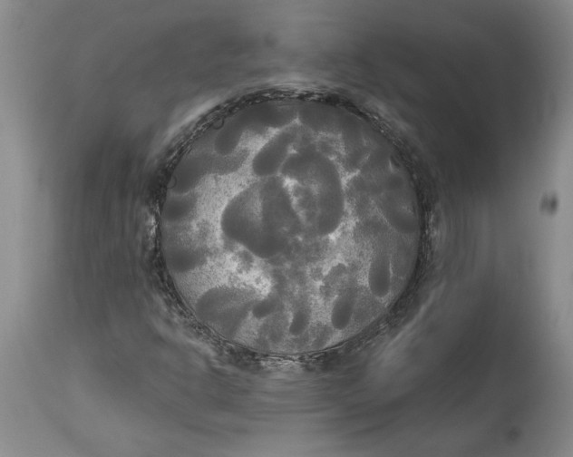 X0000114551302200911091146