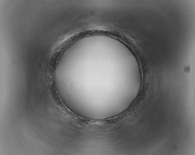 X0000114551303200911091146