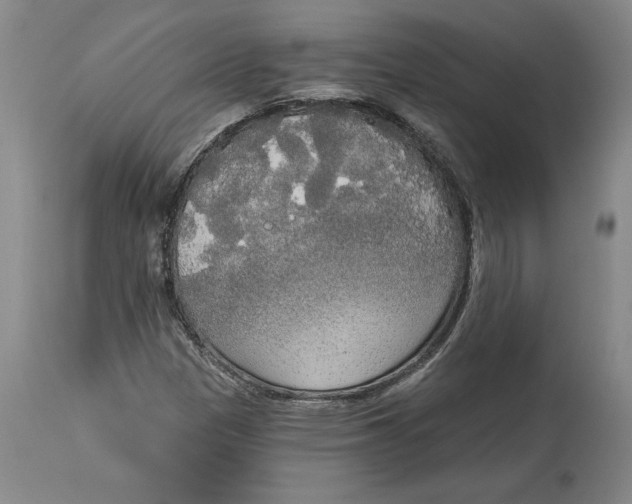 X0000114551305200911091146