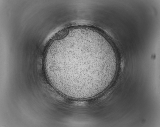 X0000114551309200911091146