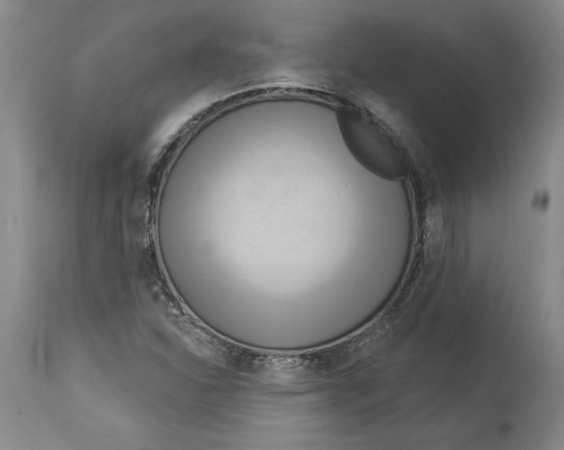 X0000114551310200911091146