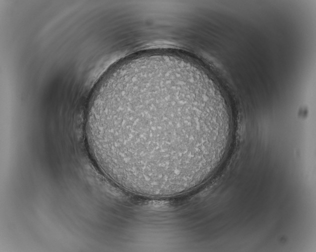 X0000114551313200911091146