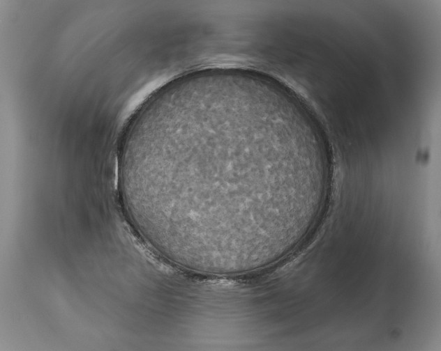 X0000114551317200911091146