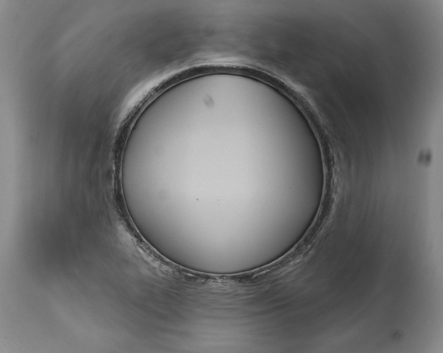 X0000114551319200911091146