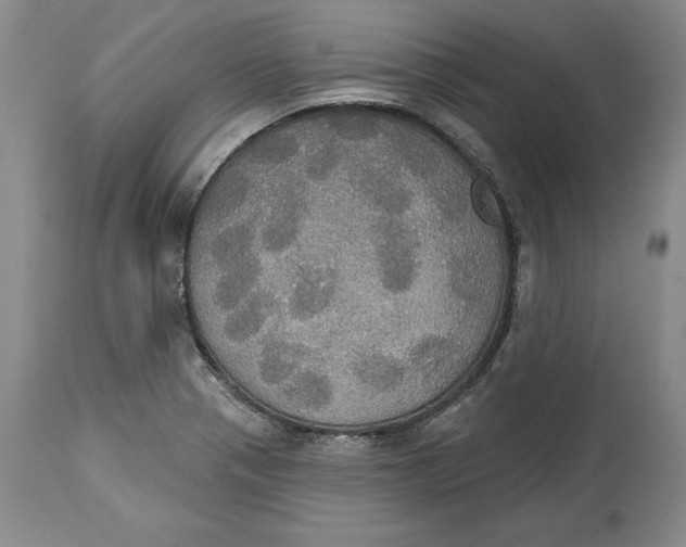 X0000114551321200911091146