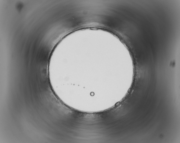 X0000114551322200911091146
