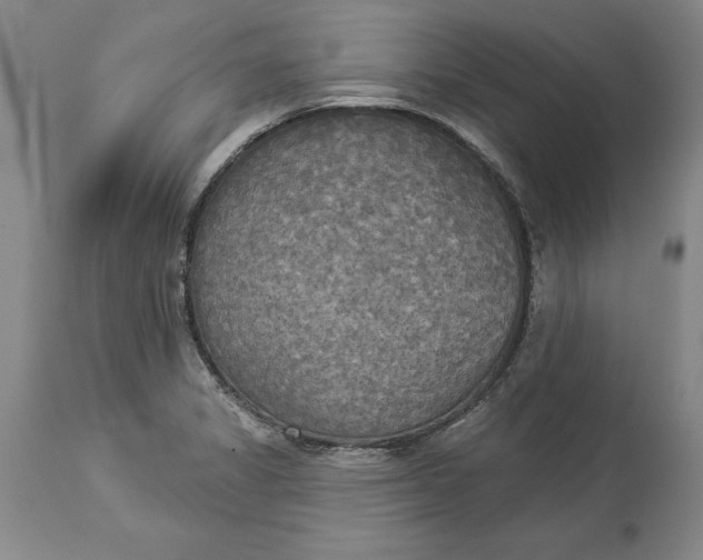 X0000114551325200911091147