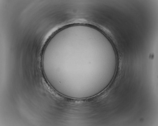 X0000114551326200911091147
