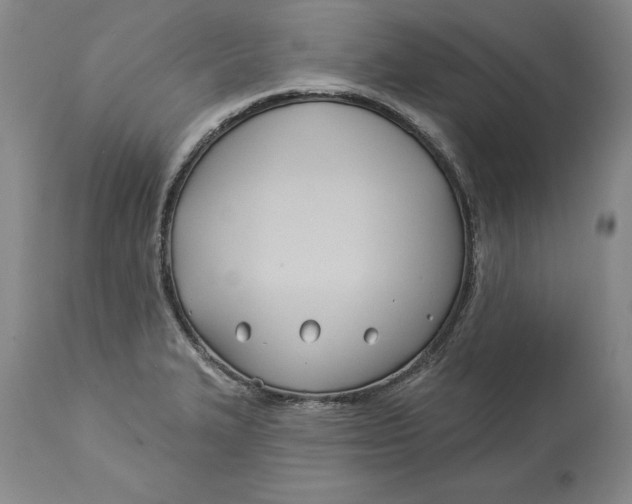 X0000114551327200911091147