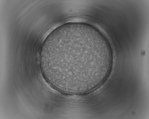 X0000114551329200911091147