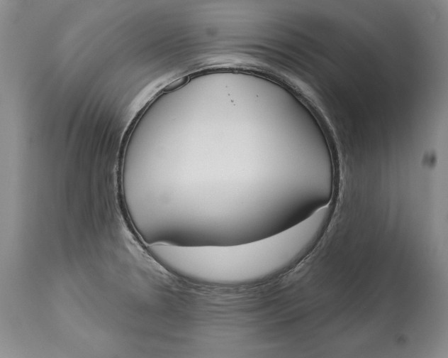 X0000114551330200911091147