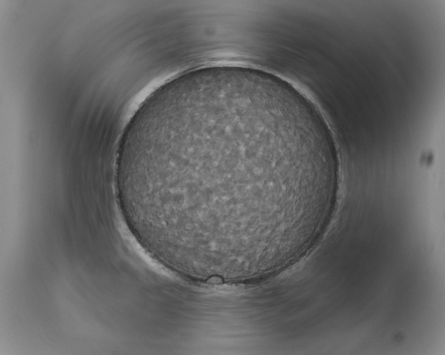 X0000114551333200911091147