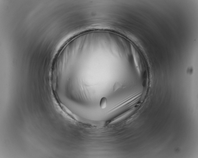 X0000114551334200911091147