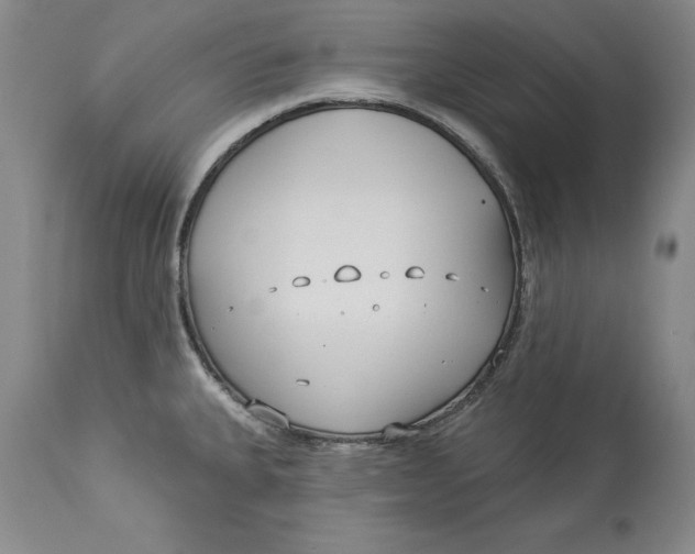 X0000114551335200911091147