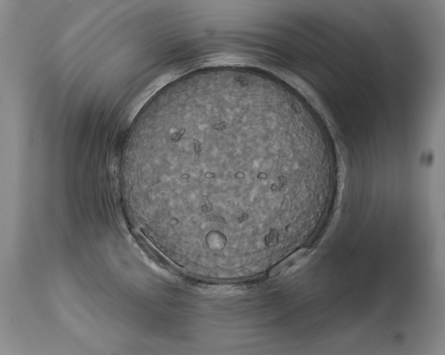 X0000114551337200911091147