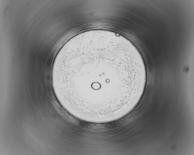 X0000114551338200911091147