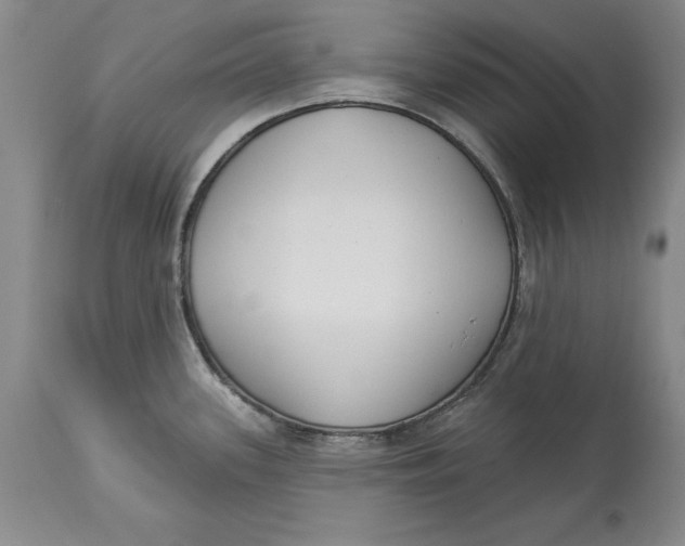 X0000114551339200911091147