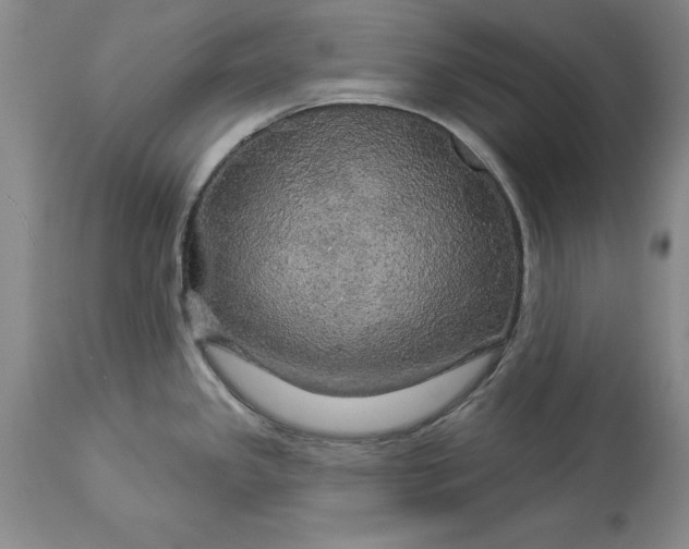X0000114551341200911091147
