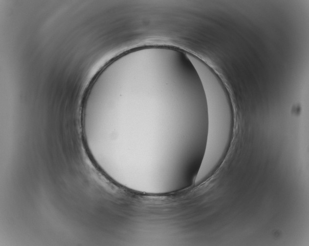 X0000114551342200911091147