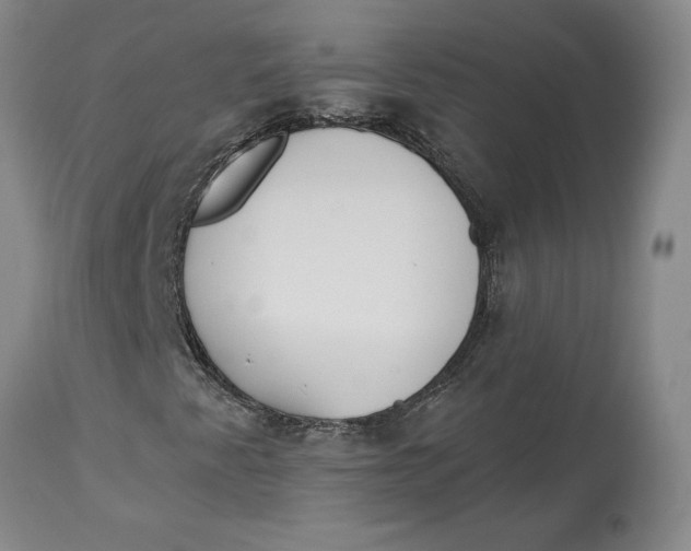 X0000114551345200911091146