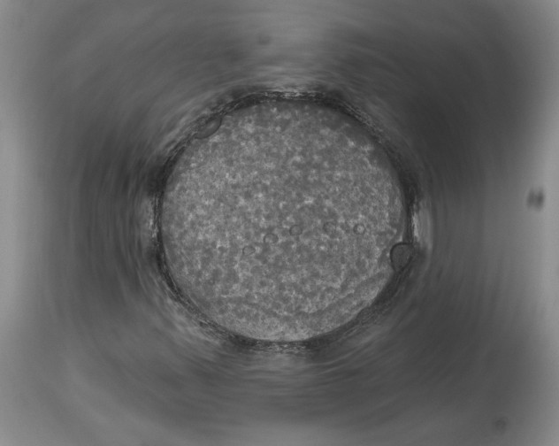 X0000114551347200911091146