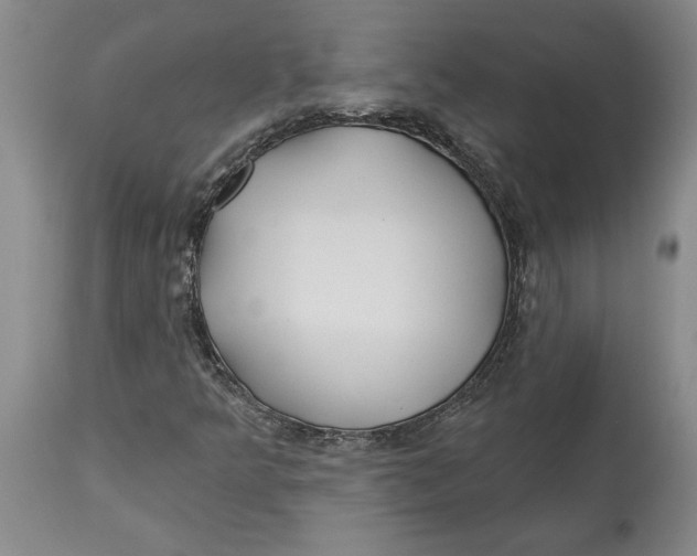 X0000114551349200911091146