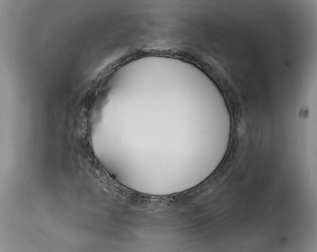 X0000114551350200911091146