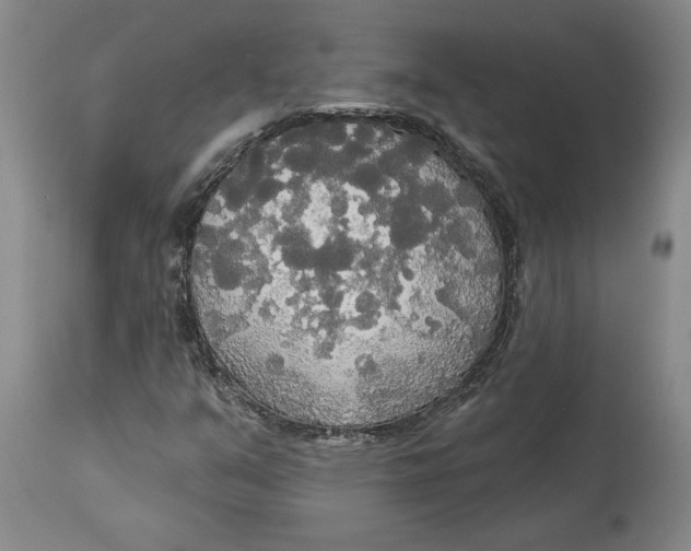 X0000114551351200911091146