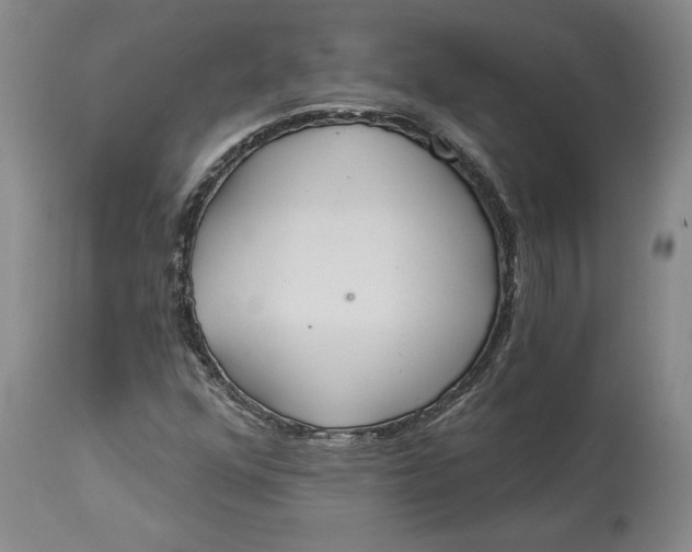 X0000114551352200911091146