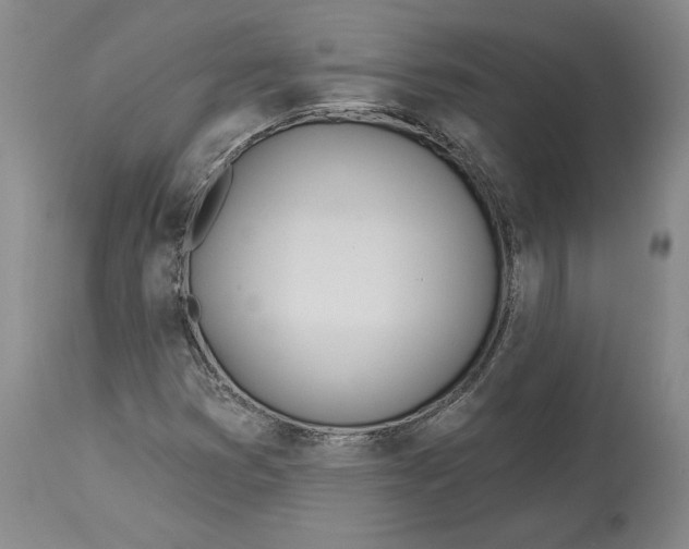 X0000114551353200911091146