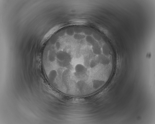 X0000114551354200911091146