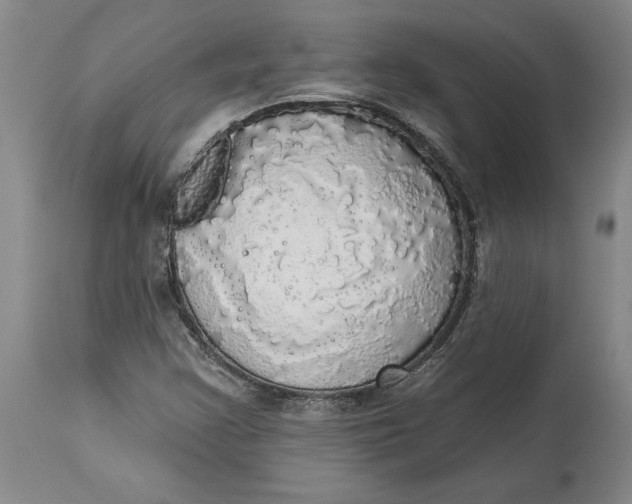 X0000114551355200911091146