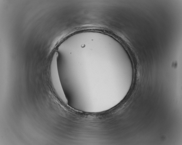 X0000114551357200911091146