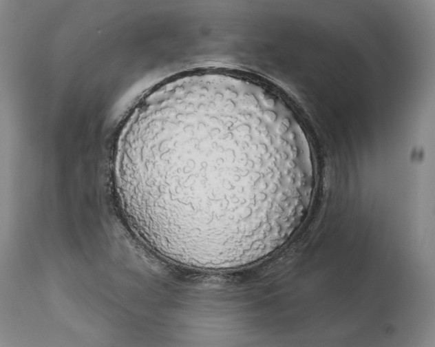 X0000114551359200911091146