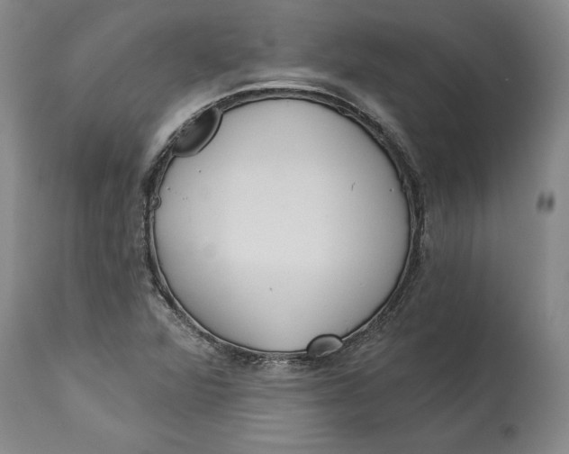 X0000114551360200911091146