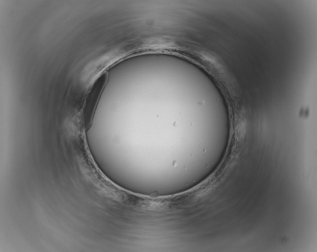 X0000114551361200911091146