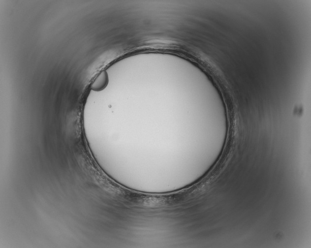 X0000114551362200911091146