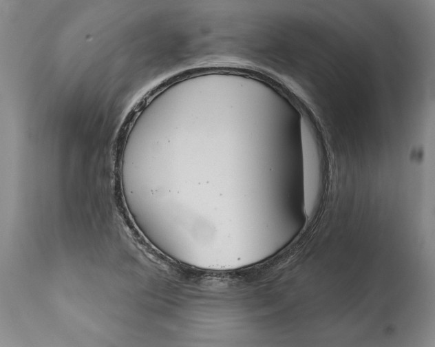X0000114551364200911091146