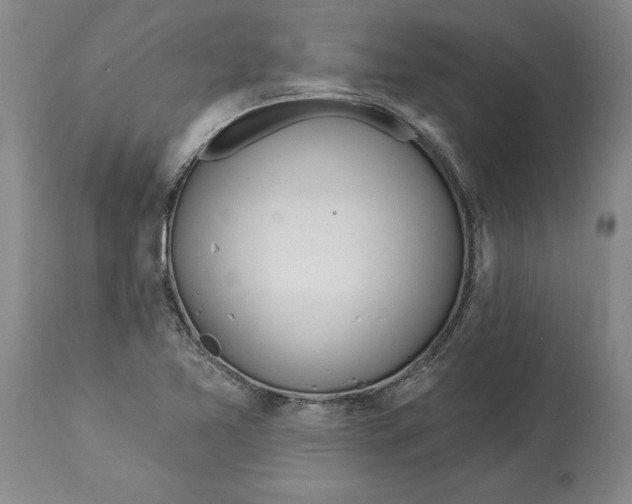 X0000114551365200911091146