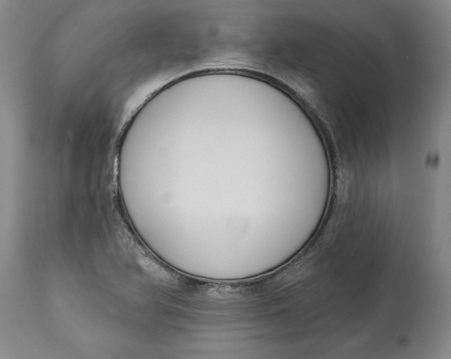 X0000114551366200911091146