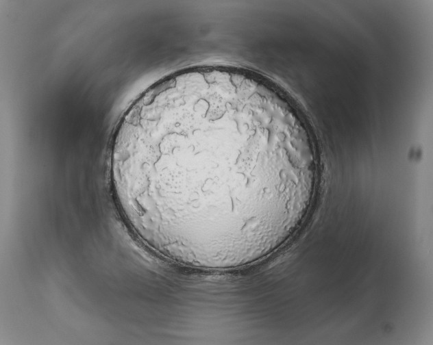 X0000114551367200911091146