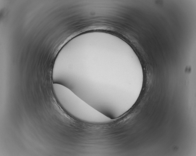 X0000114551369200911091146