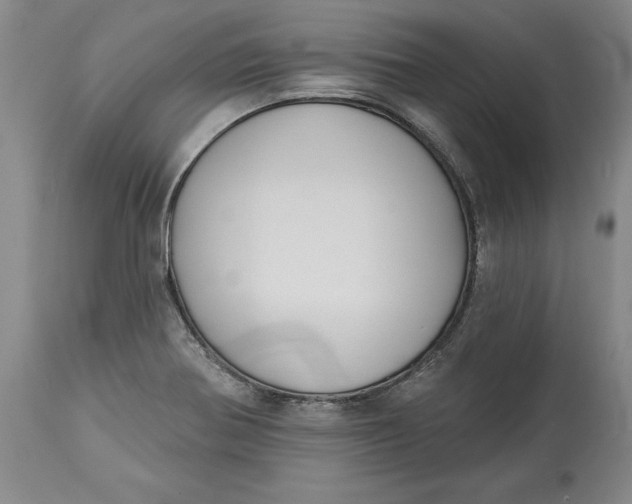X0000114551370200911091146