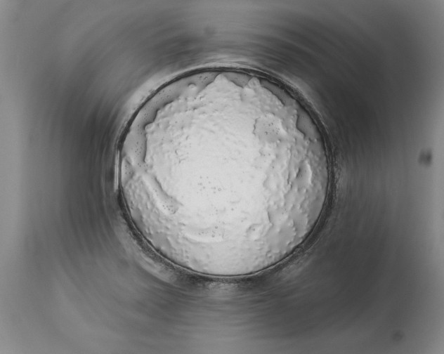 X0000114551371200911091146