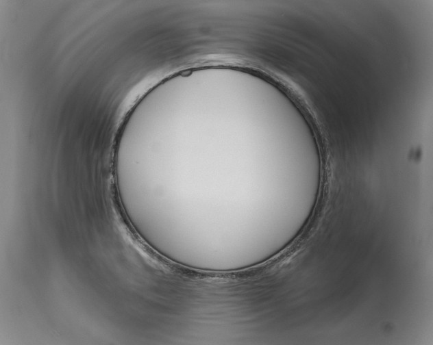 X0000114551373200911091146