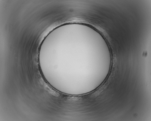 X0000114551374200911091146